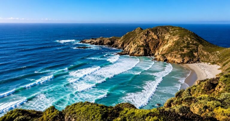 En 1977 eliminaron los últimos herbívoros introducidos en la isla de San Miguel, en California: de “terreno árido de arena” a un paisaje cubierto de vegetación nativa