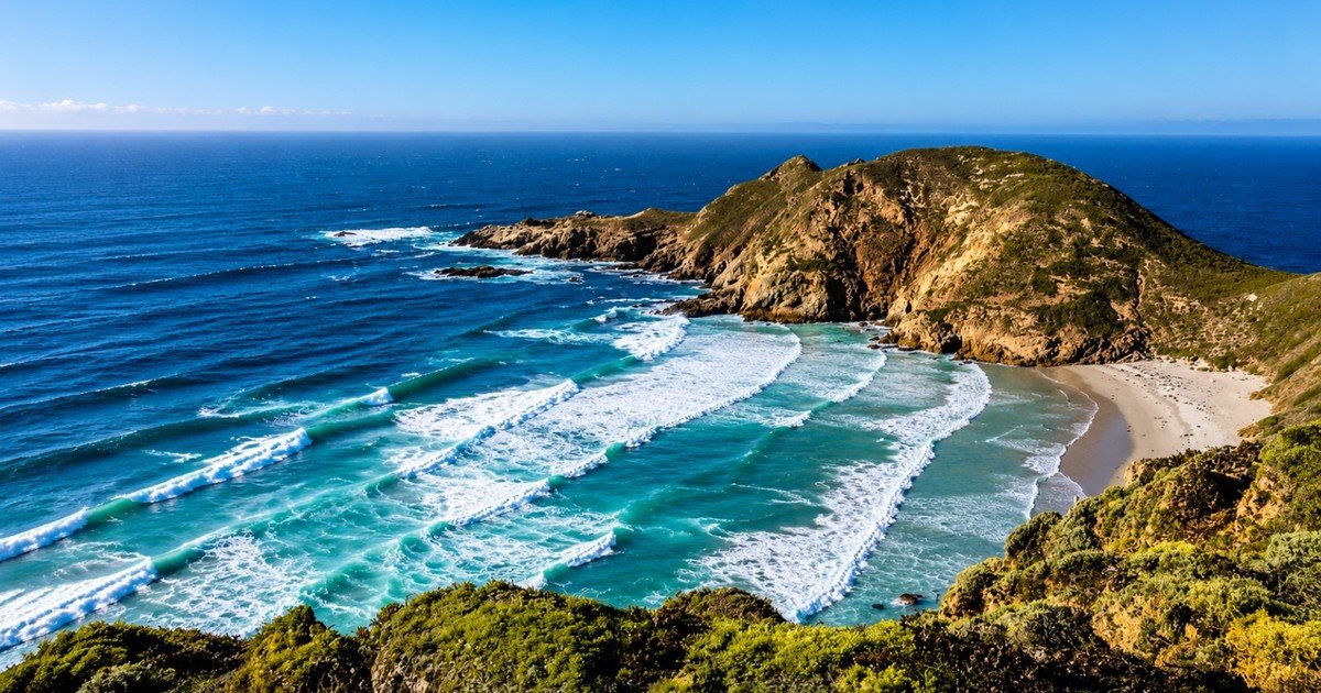 En 1977 eliminaron los últimos herbívoros introducidos en la isla de San Miguel, en California: de “terreno árido de arena” a un paisaje cubierto de vegetación nativa