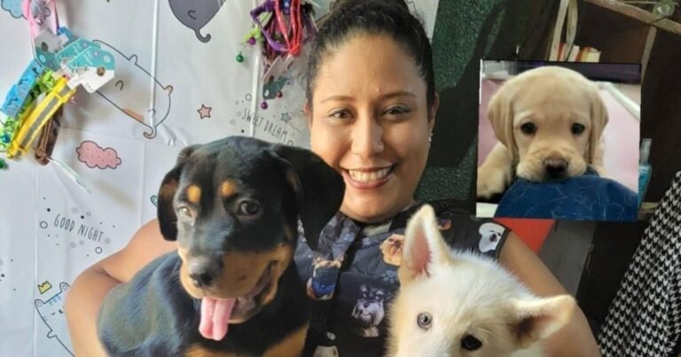 La desgarradora despedida a una joven veterinaria: su perra estuvo junto al féretro hasta el final
