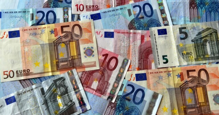 Euro hoy en Venezuela: precio y cotización de la divisa este viernes 14 de agosto de 2026