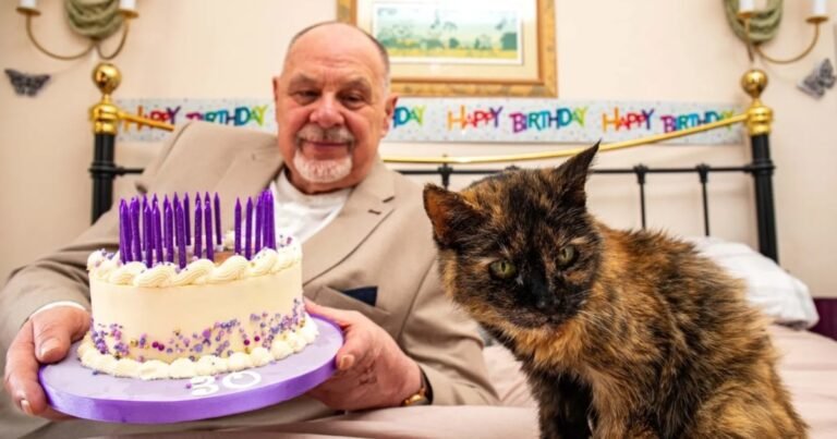 Tiene 146 años “humanos” y busca convertirse en la gata más longeva del mundo en Guinness World Records