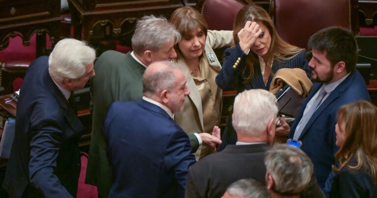 El congreso se reactiva: avanza la agenda económica y la ley de tierras entra en tiempo de descuento
