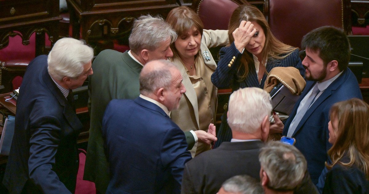 El congreso se reactiva: avanza la agenda económica y la ley de tierras entra en tiempo de descuento