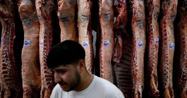 Tras la baja de julio, ¿Qué va a pasar en los próximos meses con el precio de la carne?
