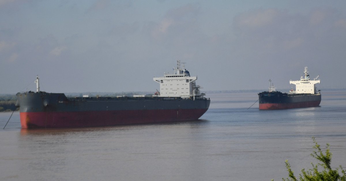 "Hay mucha preocupación": los prácticos dejaron de prestar servicios tras la desregulación del Gobierno y hay más de 150 barcos  paralizados