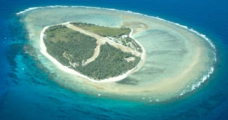 En 1969, un piloto australiano arrendó una isla de coral que había quedado desolada por la extracción de guano; transportó bidones de agua para las primeras plantaciones, ayudando a iniciar una recuperación ecológica que duraría 50 años