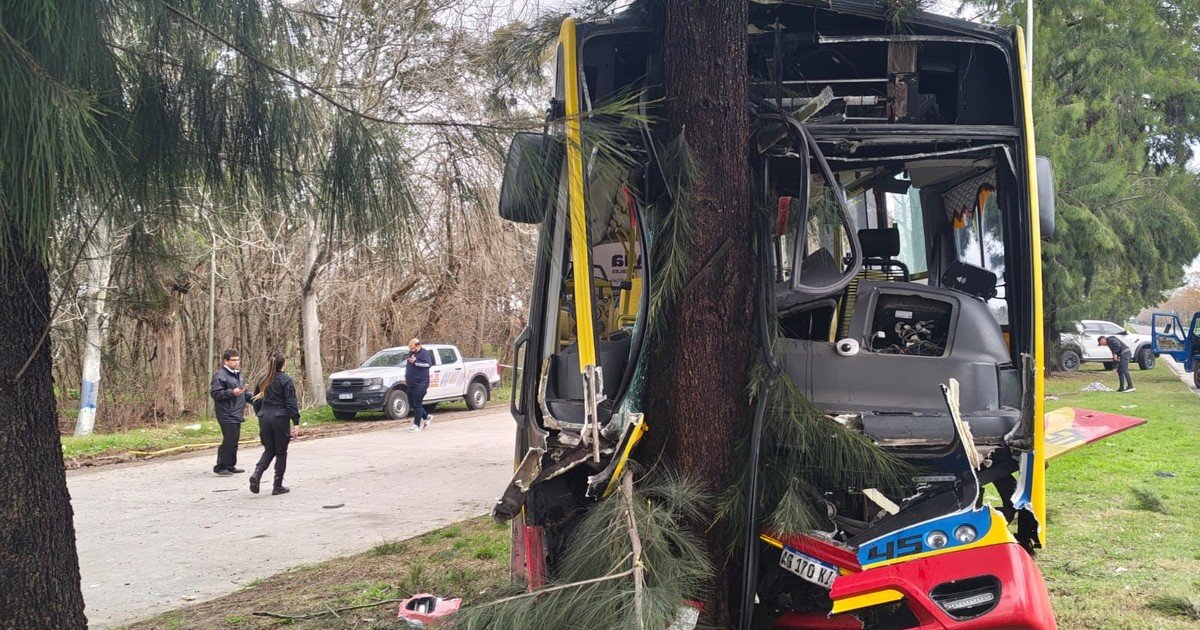El video de un brutal choque en Berisso: un colectivo impactó a un auto que frenó de golpe y se incrustó contra un árbol