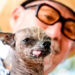 Víctor Algra, veterinario: “En un perro de 5 kilos, 750 gramos de más ya son sobrepeso y 1,5 kilos pueden convertirlo en obeso”