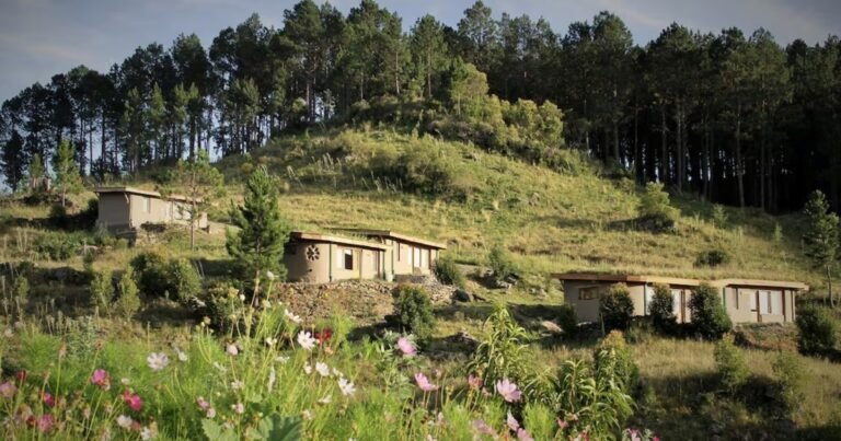 Tiene apenas 100 habitantes y nació hace 16 años: la comunidad de Córdoba que atrae a quienes buscan una vida sustentable