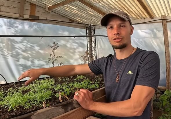 Juan, 29 años, dejó su trabajo para irse a vivir en medio del campo: "Dejé de pagar un alquiler de 1.000 euros al mes y ahora produzco mi propio aceite de oliva ecológico"