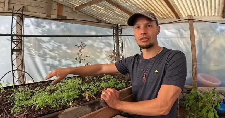 Juan, 29 años, dejó su trabajo para irse a vivir en medio del campo: "Dejé de pagar un alquiler de 1.000 euros al mes y ahora produzco mi propio aceite de oliva ecológico"