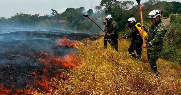 Después del terremoto, los incendios forestales arrasan miles de hectáreas en Colombia y el gobierno acusa a  “manos criminales”