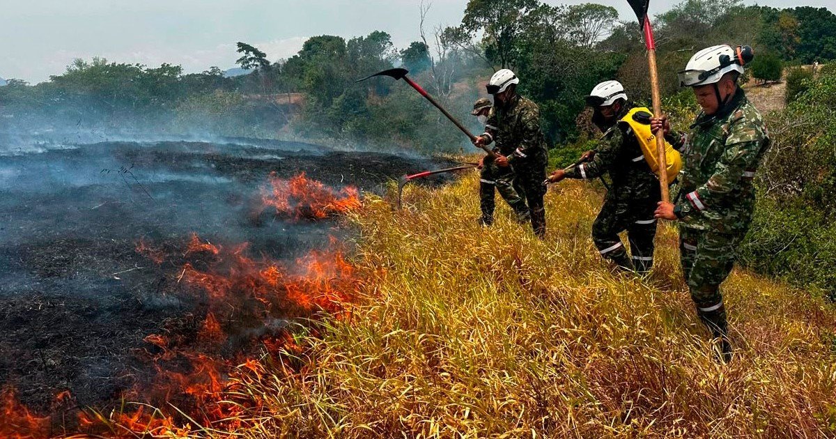 Después del terremoto, los incendios forestales arrasan miles de hectáreas en Colombia y el gobierno acusa a  “manos criminales”