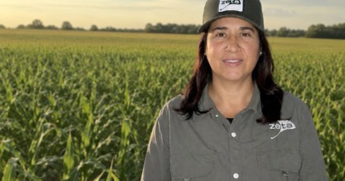 Una marca con trayectoria girasolera ahora amplía la oferta de semillas de maíz