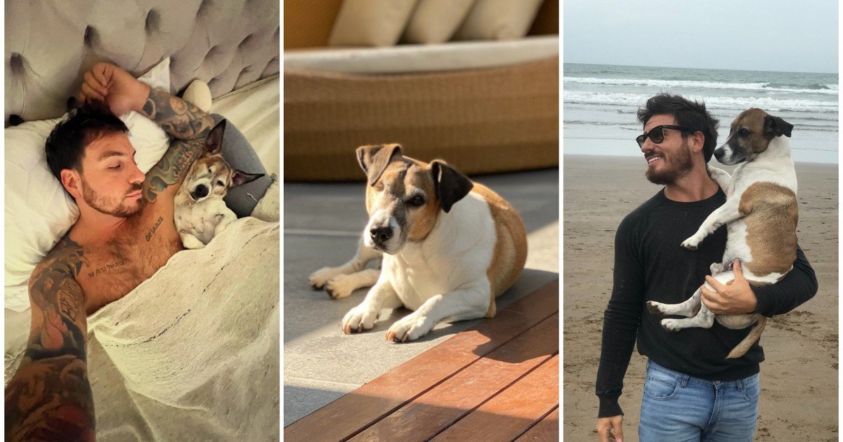 El dolor de Federico Bal por la muerte de Kike, su perro de 17 años: "Lo que te voy a extrañar"