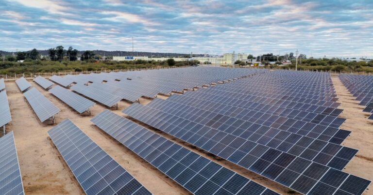 Arcor empieza a generar su propia energía renovable para bajar costos en medio del consumo débil