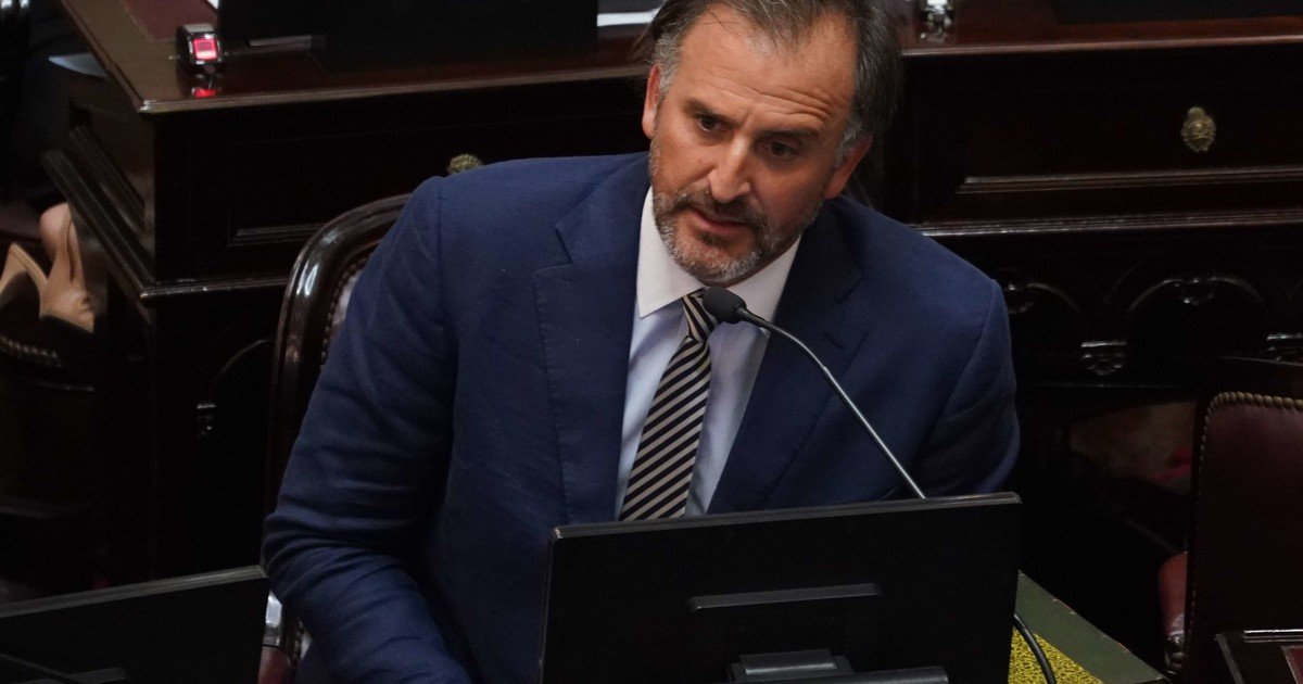 Polémica en el Senado: el libertario Benegas Lynch tiene una empresa que gestiona la venta de terrenos a extranjeros y el peronismo salió a cruzarlo