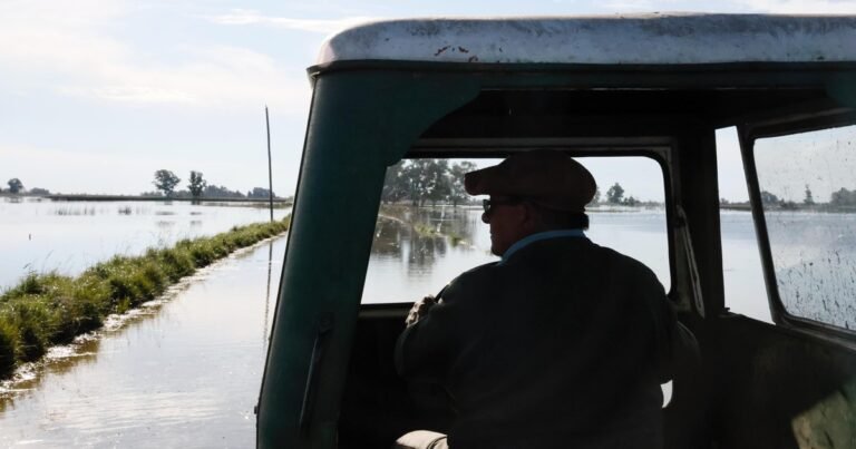 "Cada semana se va a poner más difícil": ¿cuándo será el pico de El Niño en la zona núcleo y cuánta lluvia dejará?