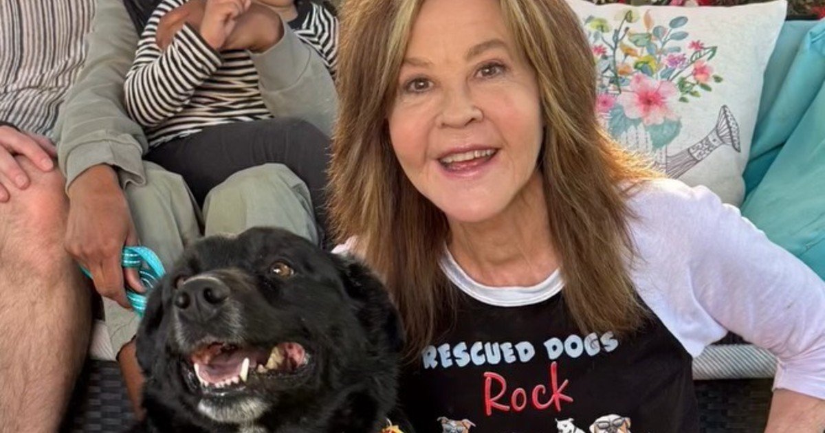 El mal momento de Linda Blair, estrella de "El Exorcista": la inspeccionaron por crianza ilegal en un campo con 200 perros