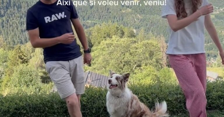 Silvia y Ferran se fueron en autocaravana a los Alpes suizos: “Pudimos obtener un permiso de residencia y hemos podido comprar la casa y crear una empresa”