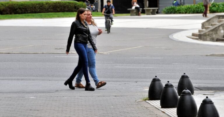 Para qué sirven las bolas de cemento que se ven en las veredas de CABA y por qué son importantes