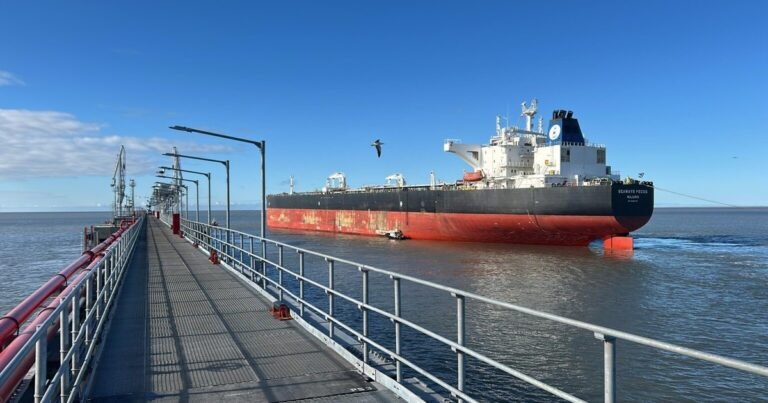 Puertos paralizados: el Gobierno asegura que el costo argentino para los barcos es cuatro veces mayor que en otros países