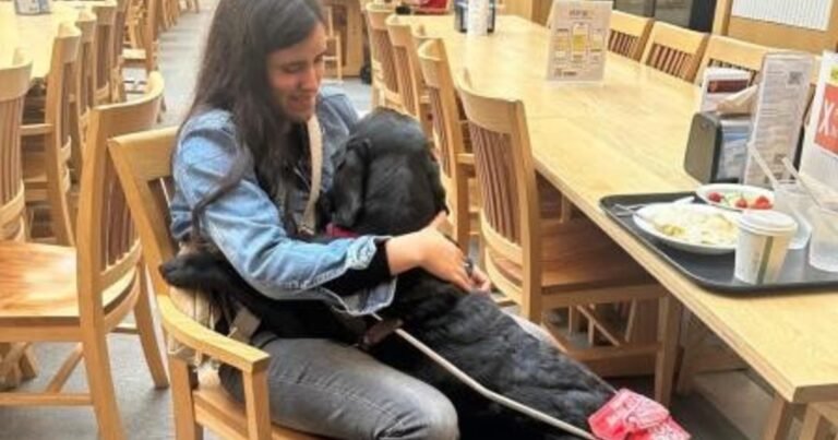 Milagros Costabel, 25 años, recorrió 19 países con su perro guía: “Hemos viajado a lugares a los que un perro lazarillo no había ido jamás”