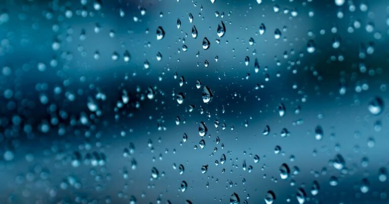 Clima hoy en Valencia, Carabobo, Venezuela: el pronóstico del tiempo para este martes 18 agosto de 2026