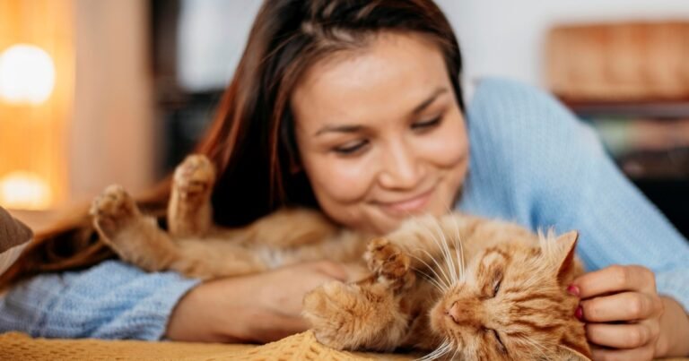 Los veterinarios coinciden: los gatos no amasan las mantas por comodidad, sino porque repiten un hábito de cuando eran cachorros