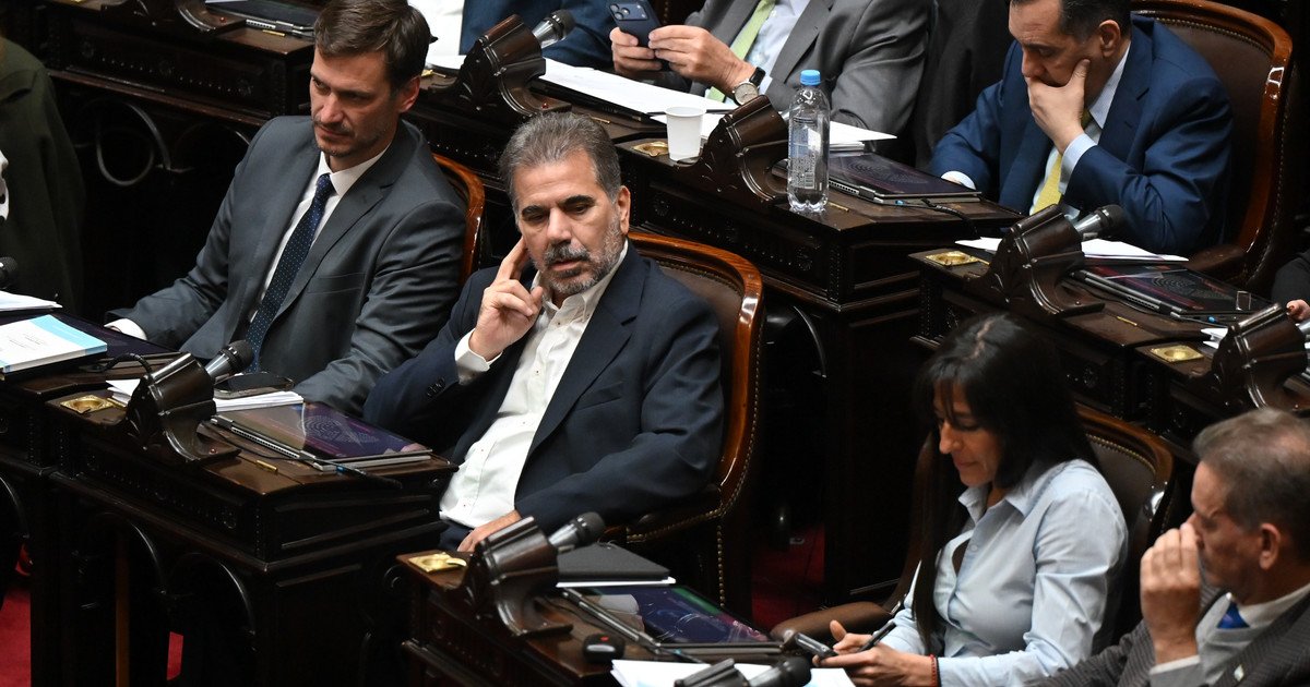 "El gobierno se equivocó": fuerte crítica del PRO a la gestión de Milei sobre el tema discapacidad