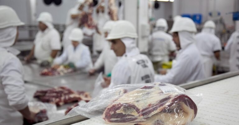 Carne y autos: pesos y dólares que sorprenden