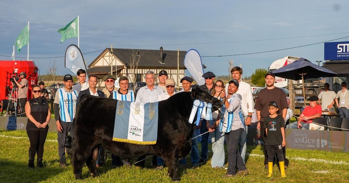 Don Cholo se consagró con el Gran Campeón Macho de Primavera y La Juanita logró el Gran Campeón Ternero