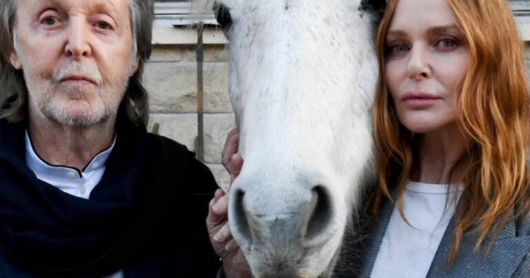 La marca de lujo de la hija de un Beatle llega a la Argentina: la historia detrás de Stella McCartney