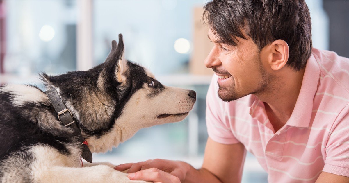 Los perros escuchan el habla de una manera que se creía exclusiva de los humanos, según un nuevo estudio científico