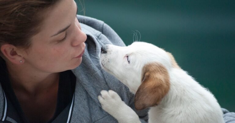 La psicología dice que las personas que sienten más empatía por los animales que por los extraños no están moralmente confundidas, sino que suelen responder a la indefensión