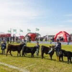 Espacio de aprendizaje y participación activa: se realizó la tradicional Jura Angus Junior