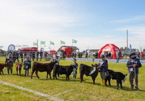 Espacio de aprendizaje y participación activa: se realizó la tradicional Jura Angus Junior