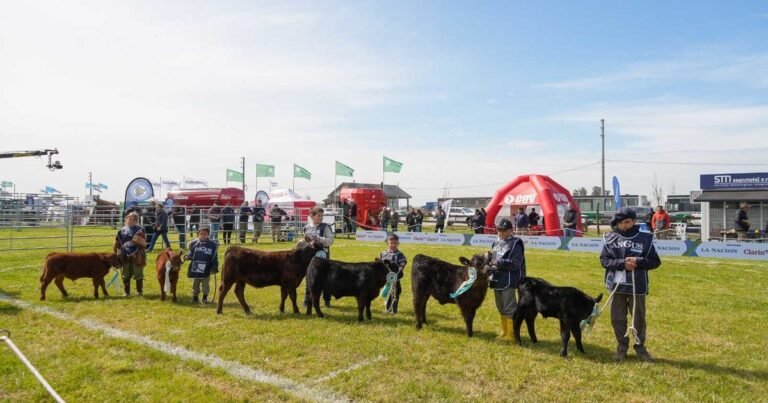 Espacio de aprendizaje y participación activa: se realizó la tradicional Jura Angus Junior