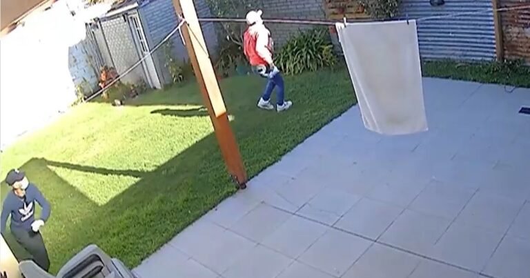 "Acá vos tenés una caja fuerte": tres ladrones saltaron paredes y asaltaron en su casa a una jueza en La Plata