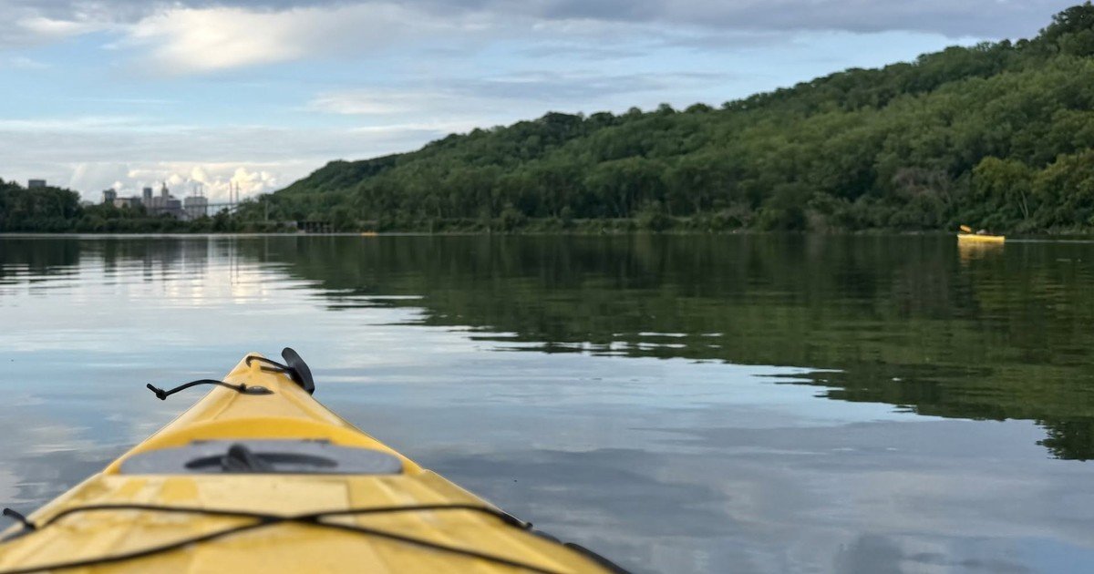 En 2009, Minnesota trató el lago Pickerel con veneno para peces para eliminar la carpa común; posteriormente, la claridad del agua aumentó casi un 600% y la cobertura vegetal pasó del 4,6% al 90%
