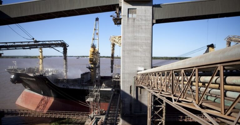 La suba de los granos mejora el aporte del agro al Estado: se esperan 35.200 millones de dólares