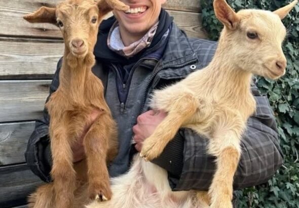 “Tengo huerto y animales, y controlo que lo que como es sano”: crear una vida más autosuficiente en el campo, lejos del estrés de la ciudad