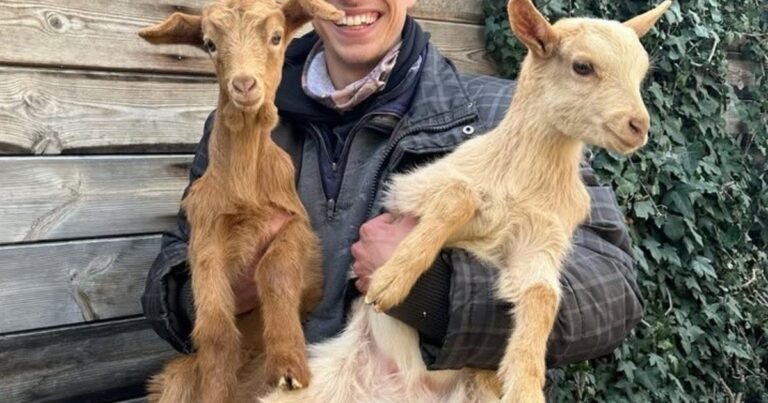 “Tengo huerto y animales, y controlo que lo que como es sano”: crear una vida más autosuficiente en el campo, lejos del estrés de la ciudad