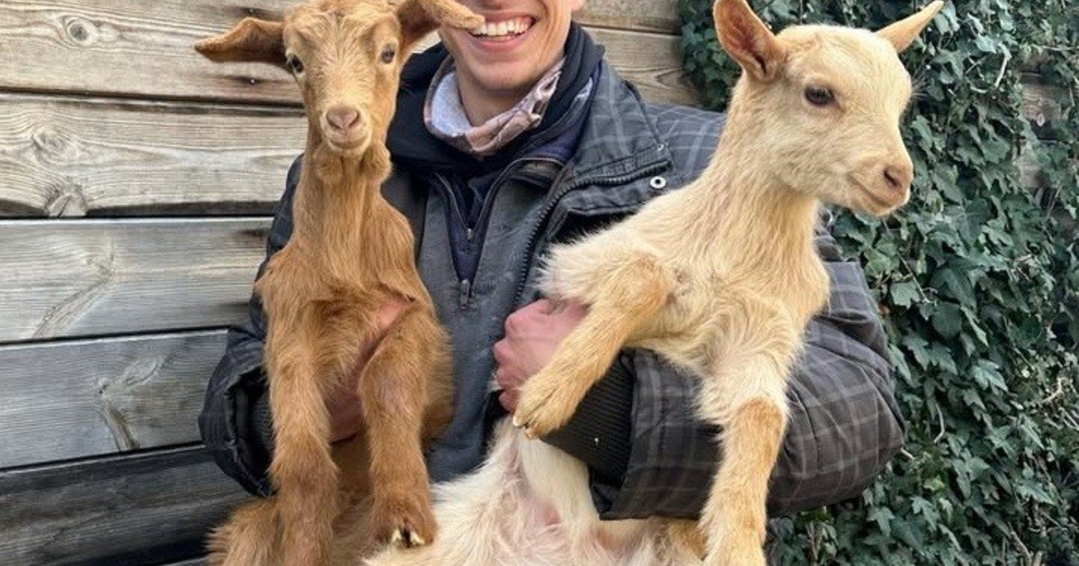 “Tengo huerto y animales, y controlo que lo que como es sano”: crear una vida más autosuficiente en el campo, lejos del estrés de la ciudad