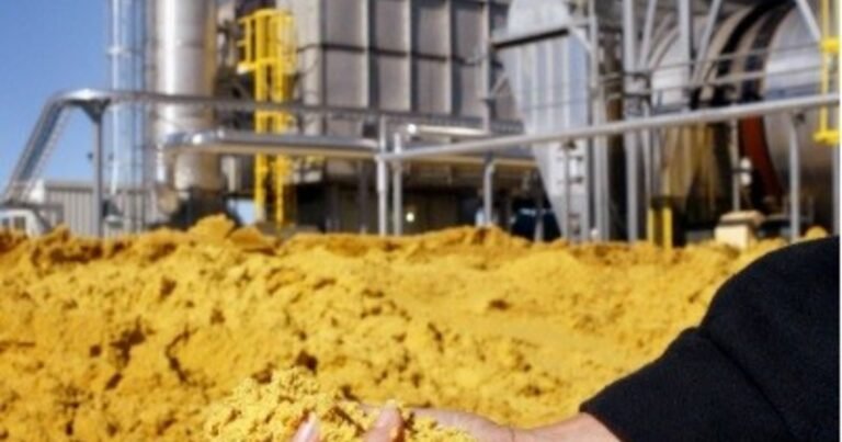Malthus no se murió: vive en los biocombustibles