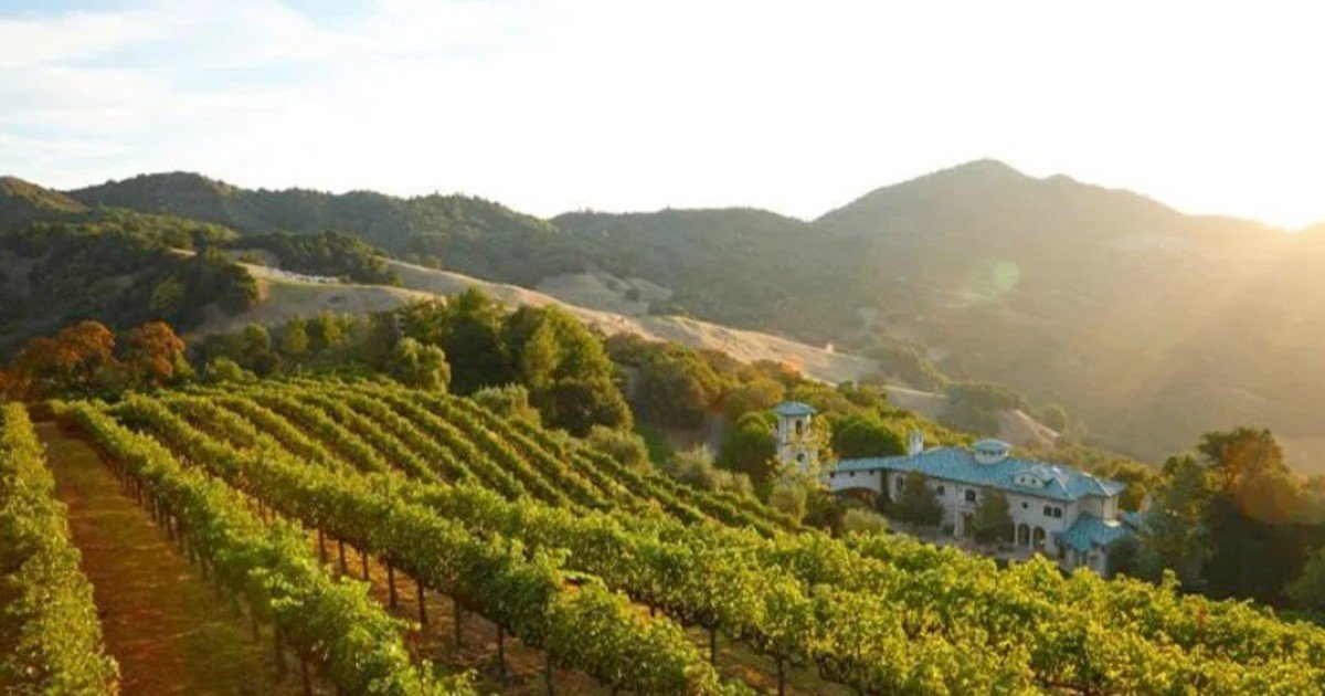 Robin Williams construyó una finca de 653 acres en Napa con una mansión de 20.000 pies cuadrados; en 2016, se vendió por USD 18,1 millones tras haber sido anunciada por 35 millones