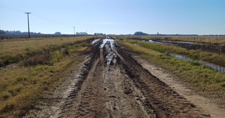 Productores bonaerenses recurrieron a la Justicia para conocer cuánto se recauda y cuánto se gasta en caminos rurales