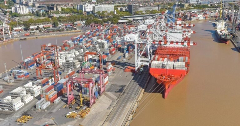 Cabotaje fluvial: navieras y forestales se cruzan por cómo bajar los costos de transporte