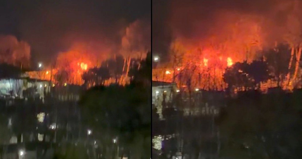 Voraz incendio en el puerto de Olivos: los bomberos combatieron llamas de gran altura