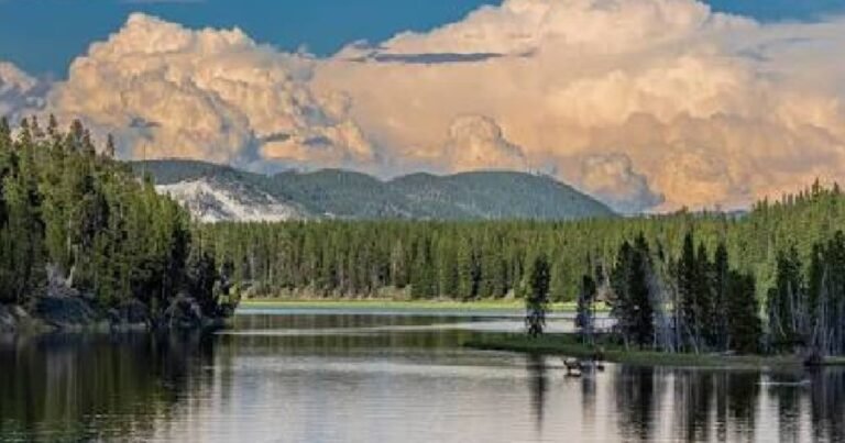 En 2006, Yellowstone eliminó con un compuesto químico natural algunos peces de High Lake; posteriormente se observaron 5.345 huevos de trucha autóctona y cuatro años después se avistaron alevines